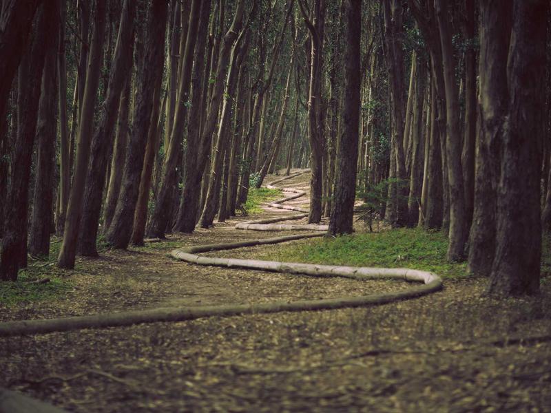 Mimarlık Proje ve Ruhsat Danışmanlığı