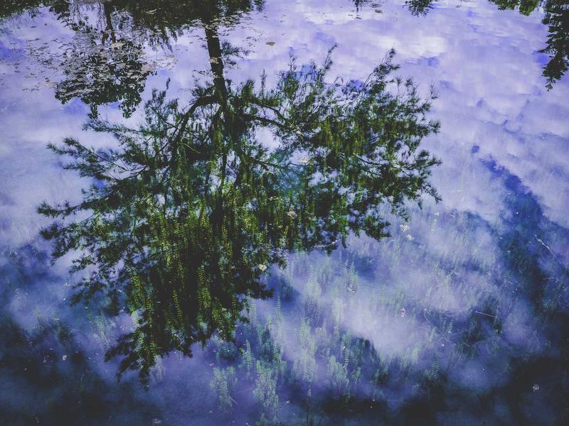 Yatırım Danışmanlığı Paketi – 6 Ay