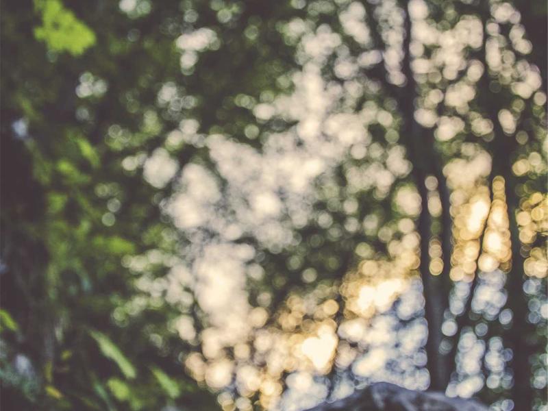 Ticari Ofis Kiralama Aracılığı – İstanbul