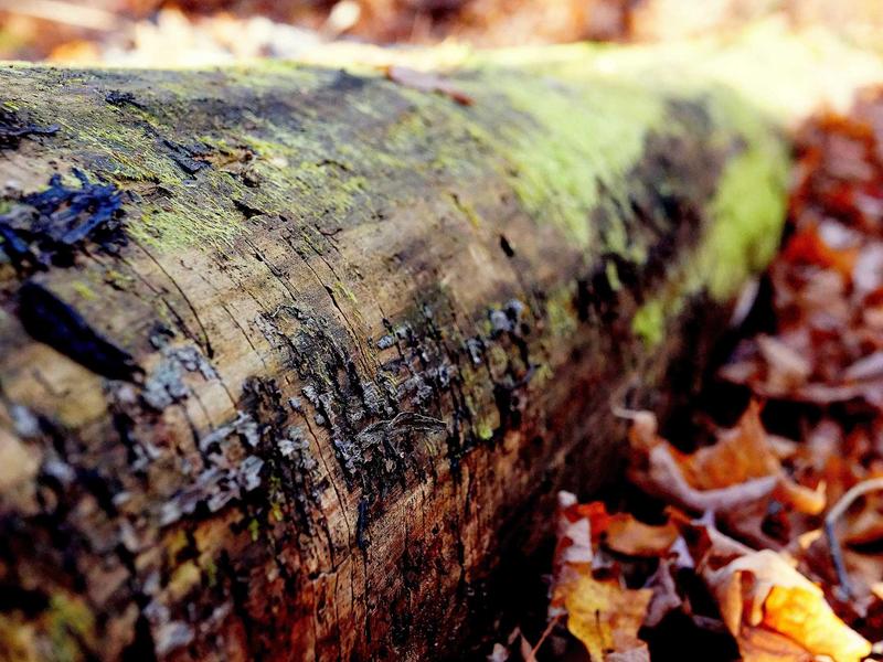Çekici ve Yol Yardım Hizmet Paketi